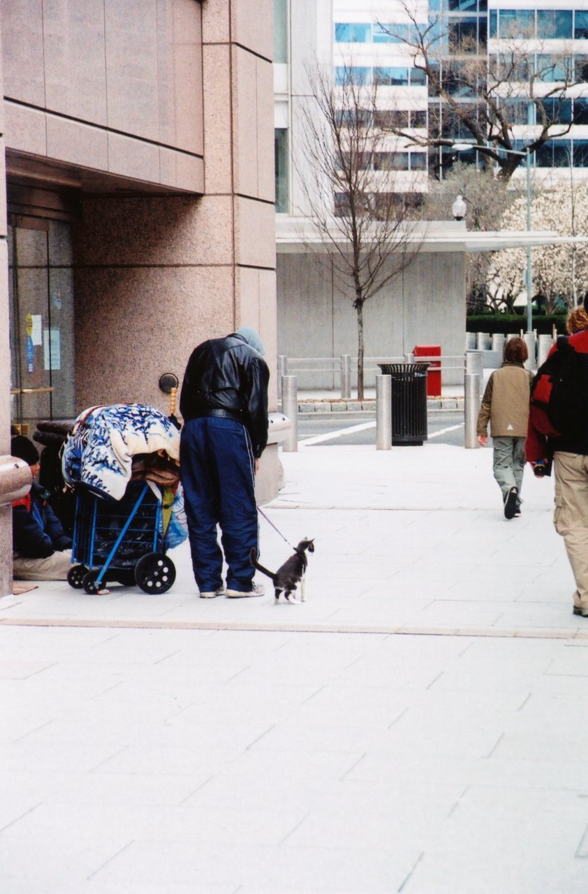 Photo on DC walkabout used in Harbinger